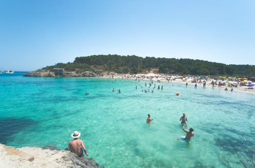 people in the water beside beach