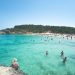 people in the water beside beach