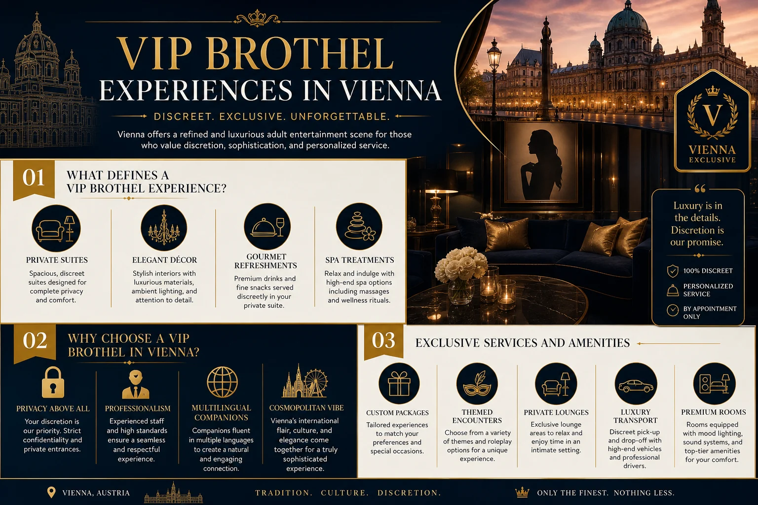 VIP Brothel Experiences in Vienna infographic